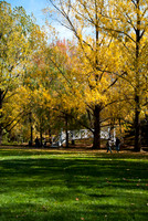 Quebec city in Autumn