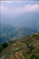 Sapa