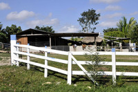 On the way to Tikal