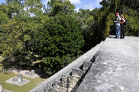 From the top of Complex Q