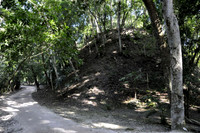 In the Tikal Jungle