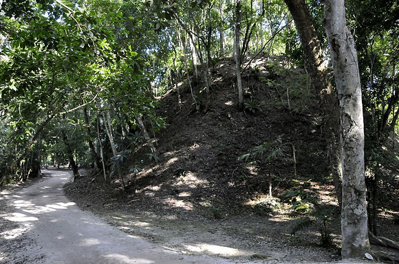 In the Tikal Jungle