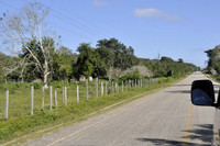 On the way to Tikal (2)